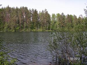     
: PICT0062.JPG
: 2929
:	1.72 
ID:	542